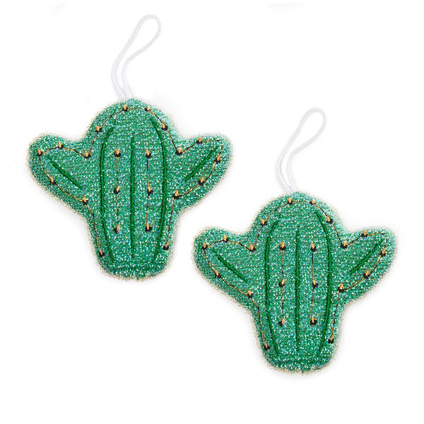 Cactus Scrub Sponge Duo