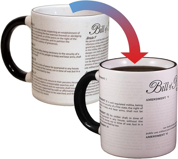"Disappearing Civil Liberties" Mug