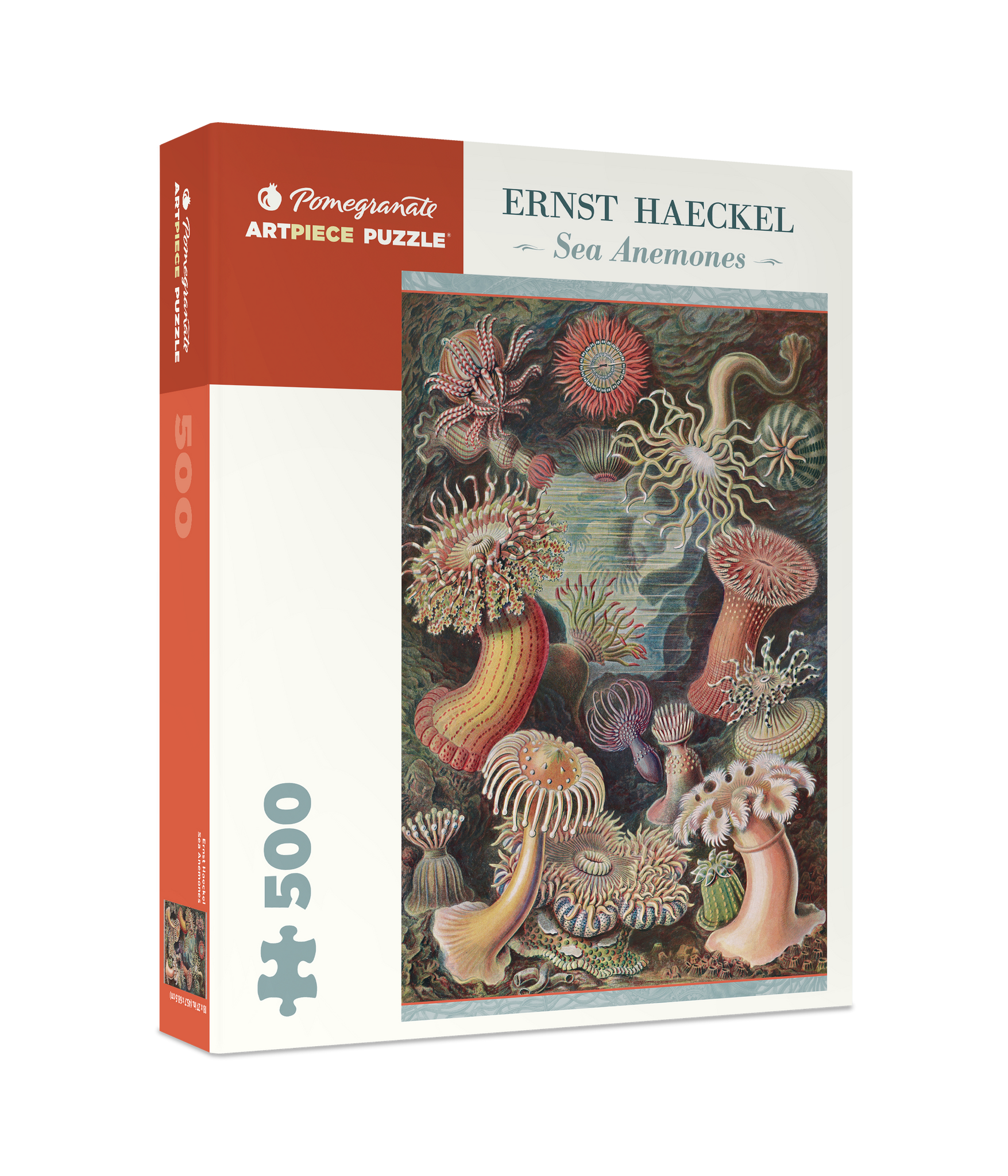 Ernst Haeckel: Sea Anemones 500-piece Jigsaw Puzzle