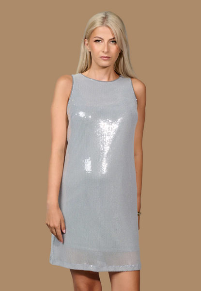 Sleeveless Sequined Dress