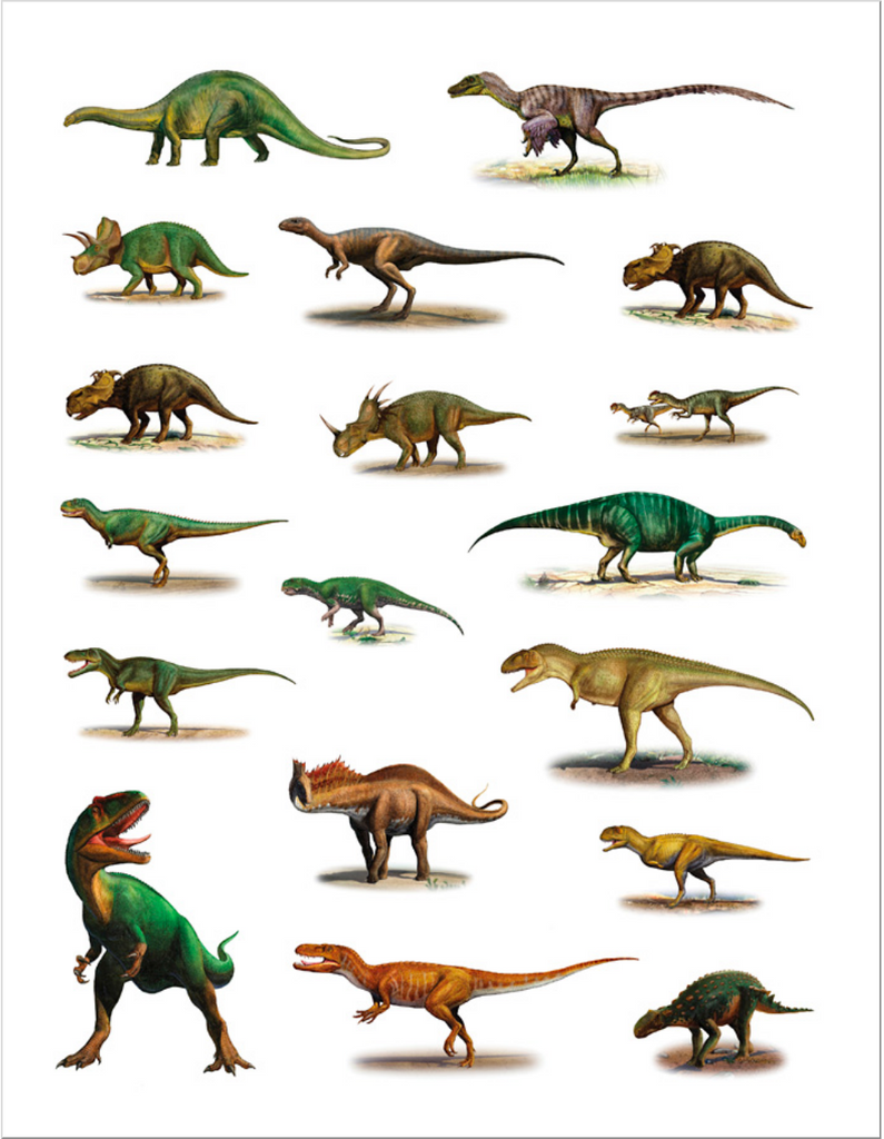 Dinosaurs Sticker Book